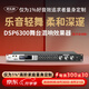 麥樂(lè )迪DSP6300卡拉ok混響器 數字音頻前級效果器 家庭影院防嘯叫調音臺處理器含話(huà)筒 調音臺均衡器 DSP6300藍牙升級版(含線(xiàn)) 標準版
