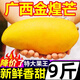 黃六爺廣西特大金煌芒果新鮮10斤水果應(yīng)當(dāng)季整箱大青芒超級甜大芒果批發(fā) 9斤 特大果【單果800-1000g】爆甜爆爽