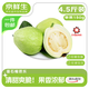 京鮮生白心芭樂(lè )凈重4.5斤單果150g+ 番石榴 脆果 新鮮水果源頭直發(fā)包郵