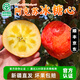 驕瑰新疆阿克蘇冰糖心蘋(píng)果 順豐快遞-送貨上門(mén) 紅富士蘋(píng)果水果禮盒裝 【阿克蘇核心產(chǎn)地】?jì)糁?.5斤裝 甄選精品大果（單果80-85mm）
