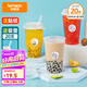 特美居奶茶杯一次性飲料杯500ml*20套 塑料咖啡杯帶蓋果汁杯子帶吸管