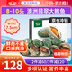 澳洲進口翡翠大鮑魚鮮活捕冷凍貝類肉生海鮮火鍋食材中秋節(jié)送禮盒 1斤裝 8-10頭/盒【第2件僅需68元】