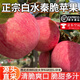 甜盟 陜西白水秦脆蘋果【順豐-送上門】瑞香紅蘋果青蘋果脆甜多汁禮盒 5斤90mm果王（5-6枚）凈重4.5斤（秦脆）