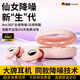戶(hù)璃德國耳塞睡覺(jué)專(zhuān)用隔音降噪防吵神器超級強耳罩不傷耳朵打呼嚕靜音 【重度噪音用-仙女粉】耳機降噪零感佩戴不漲耳 1個(gè)