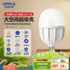 歐普（OPPLE）LED燈泡節(jié)能燈泡E27大螺口家用商用擺攤大功率廠房工礦燈38瓦白光