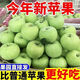 果蔬山東現摘酸甜脆口青蘋(píng)果 新鮮應當季蘋(píng)果整箱 5斤帶箱【凈重4.5斤】 單果70-75mm