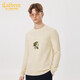 卡賓（CABBEEN）商場(chǎng)同款卡賓都市男裝鸚鵡刺繡毛衫22秋新款針織B222 米白色12 3XL (190) 56
