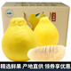 迭果正宗容縣沙田柚產(chǎn)地直發(fā)廣西特產(chǎn)白心柚子純甜無(wú)酸新鮮水果大果 沙田柚 2個(gè)大果4-4.5斤普通裝