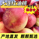 守望鄉村 大連露天黃肉紅油桃子大果國慶丑桃油桃子生鮮禮盒當季新鮮水果 金秋國慶丑桃特大果3斤【3個(gè)左右/斤】