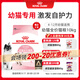 皇家幼貓貓糧 幼貓奶糕 K36 通用糧 4-12月 10KG
