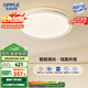 歐普（OPPLE）48瓦吸頂燈客廳臥室燈簡約護眼智控調(diào)光LED燈具18㎡品見III包安裝