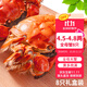 【活蟹】乾澄大閘蟹現貨 全母蟹4.5-4.8兩 8只 特大鮮活螃蟹河蟹水產(chǎn)海鮮禮盒源頭直發(fā)