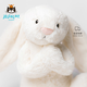Jellycat害羞乳白色邦尼兔動(dòng)物毛絨玩偶安撫玩偶娃娃教師節生日禮物 乳白色 Large
