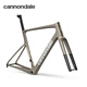 CANNONDALE佳能戴爾SuperSix EVO Carbon 內走線(xiàn)碳纖維輕量舒適綜合競賽車(chē)架 MTG 56