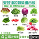 玫梔 蔬菜沙拉菜球生菜生吃輕食混合新鮮沙拉多種蔬菜健身套餐需清洗 1000g