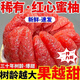胖·東來同款貓山王紅心柚子紅心蜜柚紅心柚琯溪柚子紅柚應(yīng)季新鮮 【老樹】更好吃【酸甜比】 土豪推薦帶箱9.1-10.3】大果3-5個