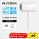 飛科 FLYCO 電吹風(fēng)機宿舍用 柔風(fēng)負離子恒溫護發(fā) 家用冷熱大風(fēng)量快速干發(fā)吹風(fēng)筒FH6290 1800W