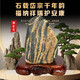 泰山老奶奶假一賠萬泰山石陽(yáng)石天然原石不切割客廳鎮(zhèn)宅補(bǔ)角辦公室靠山石敢當(dāng) 主峰陽(yáng)石50-60斤隨緣發(fā)貨可選