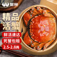 【活蟹】蟹宗大閘蟹鮮活螃蟹河蟹六月黃2.5-2.8兩10只水產(chǎn)生鮮中秋節(jié)禮品禮盒源頭直發(fā)