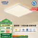 歐普（OPPLE）吸頂燈智控調光LED照明燈具全光譜智慧光方臥品見(jiàn)4白包安裝