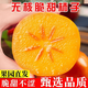 新鮮脆柿子巧克力柿子 脆甜可口現摘現發(fā)生鮮水果蔬菜半價(jià) 2.5-3斤（單果90g+）