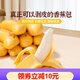 頭廚香蕉奶黃包兒童早餐可愛(ài)卡通手工包子饅頭生鮮面點(diǎn)早餐點(diǎn)心 1盒10只香蕉奶黃包