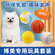 哇米博美專(zhuān)用玩具套裝耐咬發(fā)聲球寵物狗磨牙玩具小型犬幼犬成犬解悶 5件套 【橄欖球+網(wǎng)球+排球+棒球+籃球】