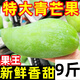 黃六爺進(jìn)口大青芒果新鮮10斤水果應當季整箱特大金煌超級甜大芒果批發(fā) 9斤 特大果【單果800-1000g】爆甜爆爽