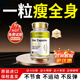 EasPowest減肥藥暴瘦大肚子燃脂全身快速塑身燃脂神器肚臍強效排油貼精強針 1瓶裝【推薦購買(mǎi)3瓶裝效果好】 【不節食不反彈】男女減小腹瘦腰腿緊致中藥濕氣重