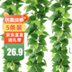 雙盟仿真藤條綠蘿葉婚慶節慶裝飾假樹(shù)葉藤蔓塑料花藤下水管道遮擋綠葉