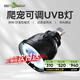 REPTIZOOuvb燈曬背燈泡烏龜爬寵蜥蜴黃緣陸龜可調模式 UVB 沙漠/雨林兩檔【專(zhuān)利精設】