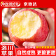 京地達洛川蘋(píng)果水果陜西紅富士節日送禮凈重8.5斤單果80mm源頭直發(fā)包郵
