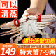 舟山梭子蟹 整只特大螃蟹鮮活冷凍海鮮水產(chǎn) 7-9兩/只【可清蒸】?jì)糁?.9斤