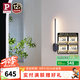 Paulmann P德國(guó)柏曼長(zhǎng)條漫反射壁燈現(xiàn)代極簡(jiǎn)客廳臥室床頭LED燈具 【雅光黑】13W-3000K-墻控