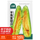 北蔬 羊角蜜甜瓜種子苗羊角酥脆超甜香瓜種籽 羊角蜜甜瓜種子約500粒