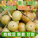 正宗潮汕特產(chǎn)高山種植丙甘甜油柑果余甘牛甘果生吃榨汁脆甜精選果 1斤【青皮柿丙甜油甘】