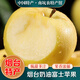 桃西村山東奶油富士蘋(píng)果 黃胖子黃焦蘋(píng)果棲霞富硒糖心元帥新鮮水果禮盒 4.5斤精選大果【80-85mm】