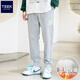 TEEK寬松潮款休閑褲子男裝 2026新款秋季易穿搭男生系帶運動(dòng)長(cháng)褲 【加絨保暖】JZC59D灰色 XL (參考體重150-175斤)