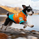 嬉皮狗（hipidog）秋冬狗衣服保暖外出撞色拼接沖鋒兩腳棉衣雪納瑞中小型犬寵物服飾 邦迪藍 XL （建議體重12-15斤）