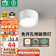 雷士（NVC）LED筒燈家用客廳臥室吊頂過道免開孔明裝天花燈PC白色15瓦暖白光
