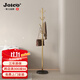 JOICO瑞士品牌落地衣帽架進(jìn)門(mén)玄關(guān)掛衣架輕奢衣架落地臥室門(mén)廳立式衣架 【流沙金】黑色大理石底座