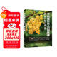 手機攝影從入門(mén)到精通
