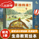 【兒童繪本精裝】自然科學(xué)與生命教育 這是誰(shuí)的家+藏在森林里的生命（共2冊）3-6歲動(dòng)物巢穴棲息地森林動(dòng)物認知啟蒙百科全書(shū)開(kāi)學(xué)季 這是誰(shuí)的家+藏在森林里的生命