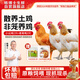 楊博士 皖南散養(yǎng)土雞3只 凈重4.2斤 老母雞2只+仔公雞1只整雞源頭直發(fā)