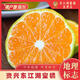 湖南郴州東江湖蜜橘 青草當季無(wú)籽桔子 清江蜜橘 好吃甜產(chǎn)地直發(fā) 5斤【帶箱重量】 5A級果 |  單果50-60mm(實(shí)惠裝)