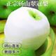 正宗碭山梨蘇翠一號翠冠梨水果翠玉梨梨子新鮮湯山脆冠青梨 凈重4.5-5斤（約6-9個）