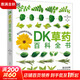 DK自然科普大百科系列 DK蘑菇大百科 DK草藥百科全書可選 DK樹木大百科 自然科學(xué)科普百科知識讀物系列書籍 DK草藥百科全書