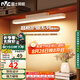 雷士（NVC）充電臺(tái)燈學(xué)習(xí)宿舍家用床頭燈磁吸式粘貼酷斃燈兒童閱讀臺(tái)燈晶格