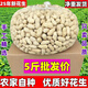 25年帶殼生花生新鮮干花生南陽(yáng)農(nóng)家種植本地粉紅皮精選白沙果新貨 5斤凈重手工精選曬干帶殼生花生