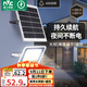 雷士（NVC）太陽(yáng)能戶(hù)外照明燈室外庭院燈路燈投光燈光控遙控402lm+約25m2